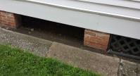 Foundation Repair St. Clair Shores image 4